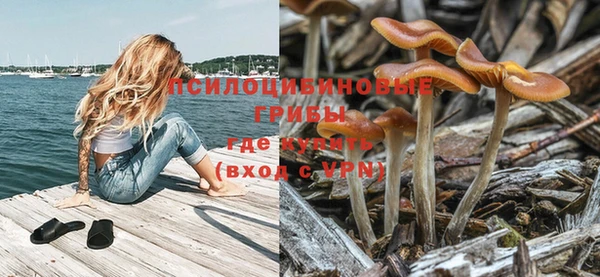 герыч Арсеньев